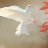 Thumbnail of related posts 122