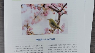 Thumbnail of post image 172